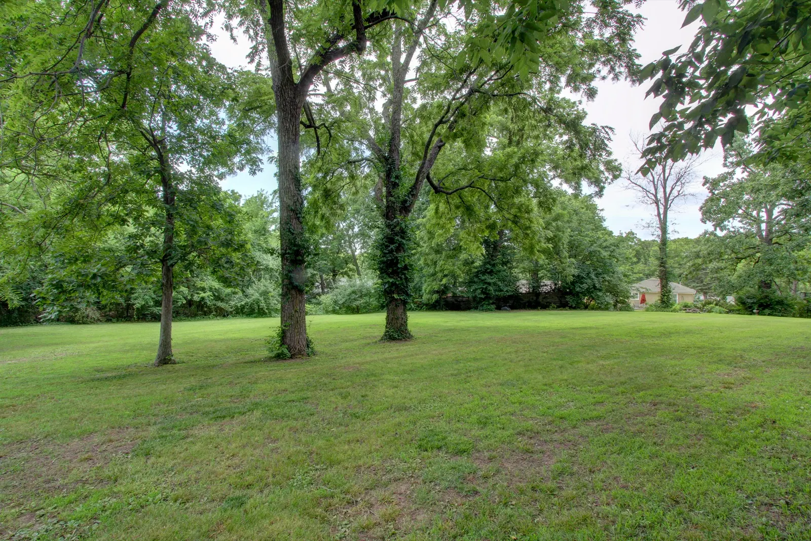 61 H Street, Lake Lotawana, MO 64086: photo 21 of 35