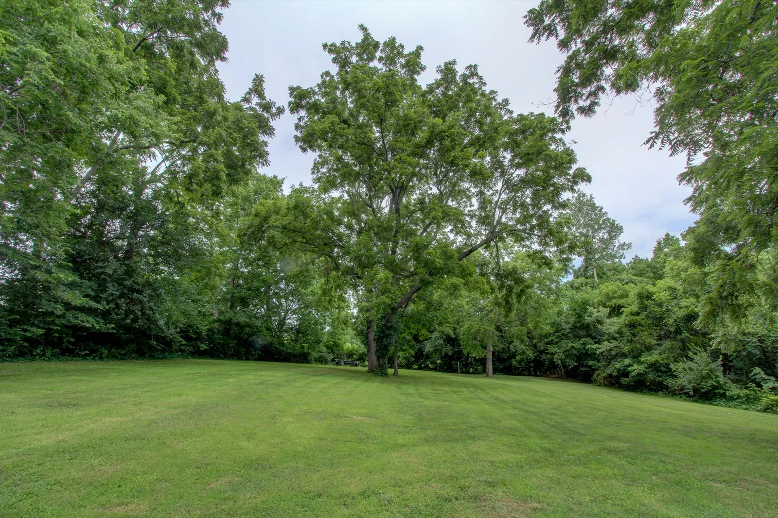61 H Street, Lake Lotawana, MO 64086: photo 23 of 35